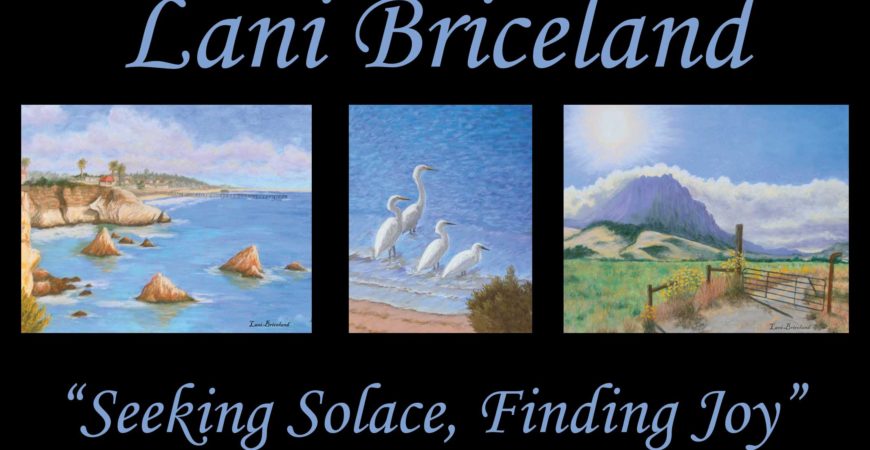 Lani Briceland, Guest Artist for August 2013