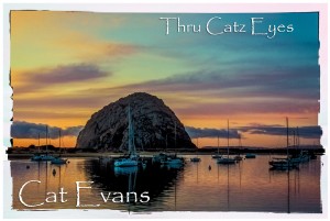 EvansPostcard