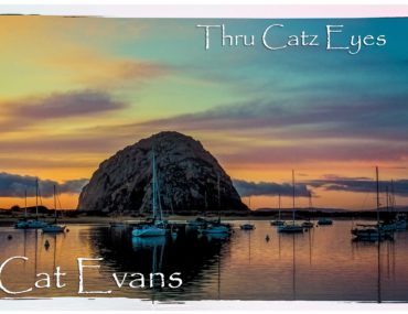 Cat Evans, Featured Artist for August 2013