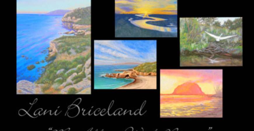 Lani Briceland, Featured Artist for February 2014