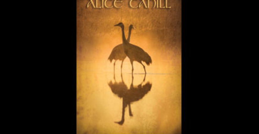 Alice Cahill, Featured Artist for June 2014