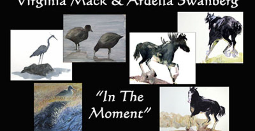 Virginia Mack & Ardella Swanberg, Featured Artists for May 2014