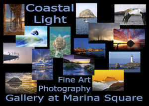 CoastalLightLR