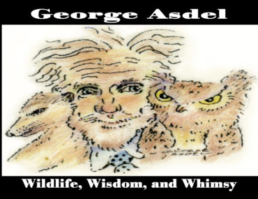George Asdel, Featured Artist for February 2015