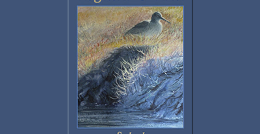 Virginia Mack, Guest Artist for February 2015