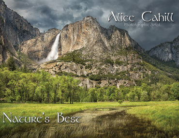 Alice Cahill, Featured Artist for June 2015