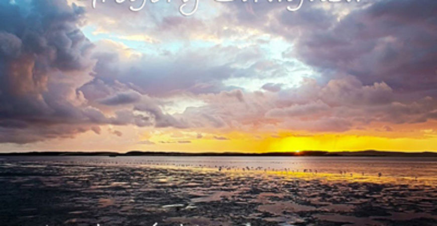 Gregory Siragusa, Guest Artist for July 2015