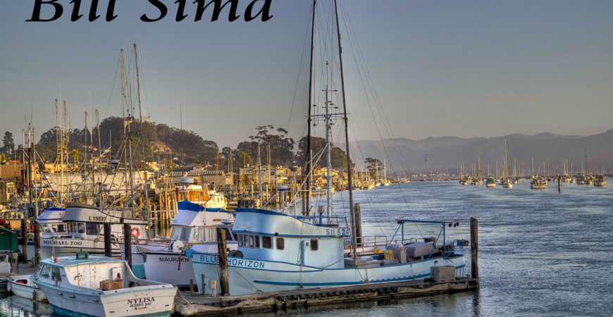 Bill Sima, Guest Artist for June 2015
