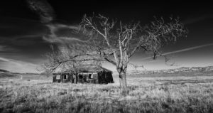 Carrizo Plain National Monument, California