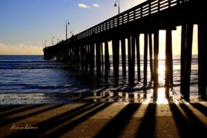 REFLECTING RESTORATION -SIG