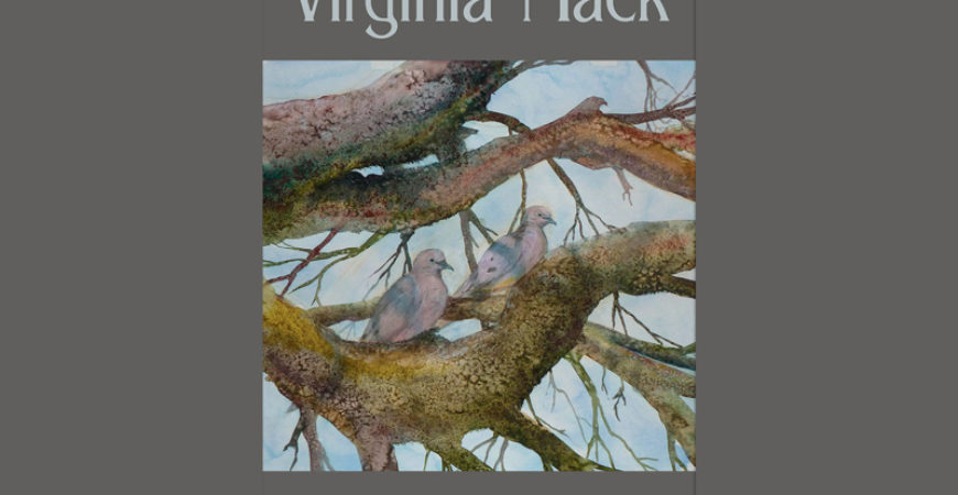 Virginia Mack, Featured Artist for January 2017