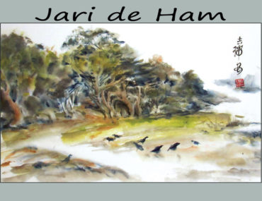 Jarien de Ham, Featured Artist for June 2017
