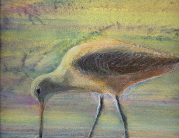Virginia Mack, Featured Artist for August 2018