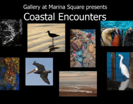 Coastal Encounters, Featured Artists Show, July 2021