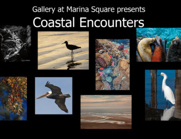 Coastal Encounters, Featured Artists Show, July 2021